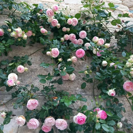 La Maison Du Pouget בית נופש *