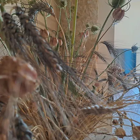 בית נופש La Maison Du Pouget Fénols