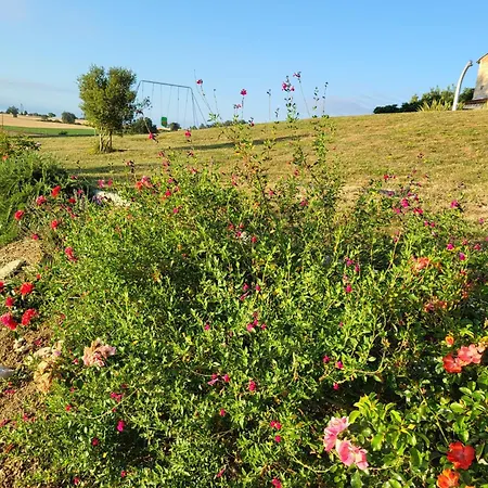 La Maison Du Pouget *